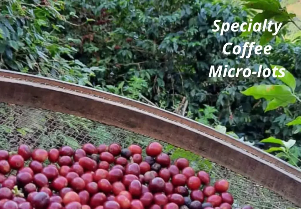 coffee microlots